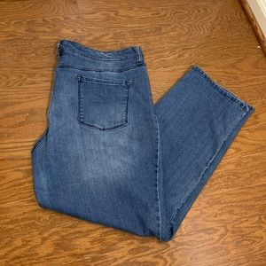 Bandolino Jeans (18-Short)